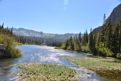 DSC_7817 (Large).JPG